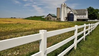 I caught site of this view early in the summer as the fields were just waking up. Now this farm field is filled with corn. But these kind of idyllic scenes are all over the upper midwest where much time and energy is devoted to growing crops. #InElkhartCountyIN #GoodofGoshen #CynthiaHerms