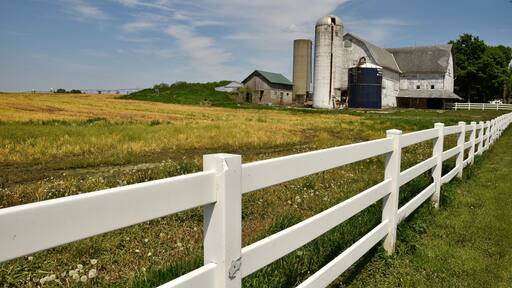 I caught site of this view early in the summer as the fields were just waking up. Now this farm field is filled with corn. But these kind of idyllic scenes are all over the upper midwest where much time and energy is devoted to growing crops. #InElkhartCountyIN #GoodofGoshen #CynthiaHerms