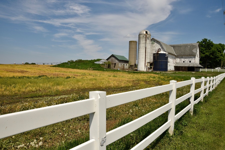 I caught site of this view early in the summer as the fields were just waking up. Now this farm field is filled with corn. But these kind of idyllic scenes are all over the upper midwest where much time and energy is devoted to growing crops. #InElkhartCountyIN #GoodofGoshen #CynthiaHerms