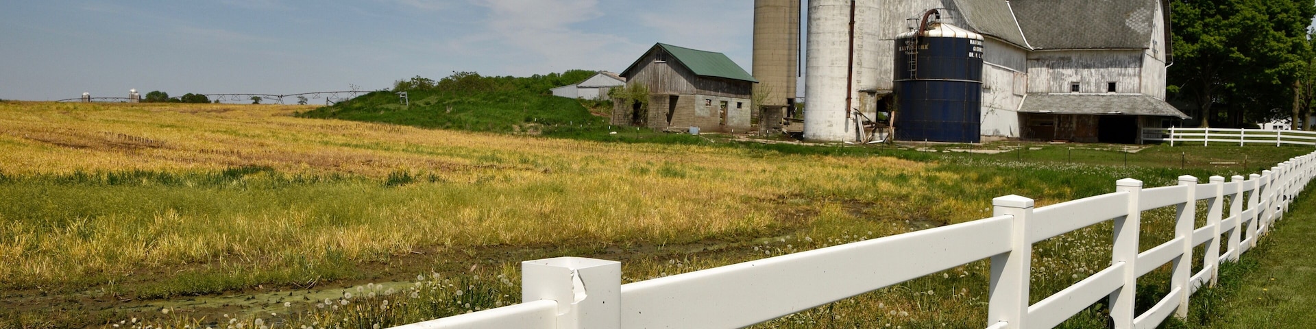 I caught site of this view early in the summer as the fields were just waking up. Now this farm field is filled with corn. But these kind of idyllic scenes are all over the upper midwest where much time and energy is devoted to growing crops. #InElkhartCountyIN #GoodofGoshen #CynthiaHerms