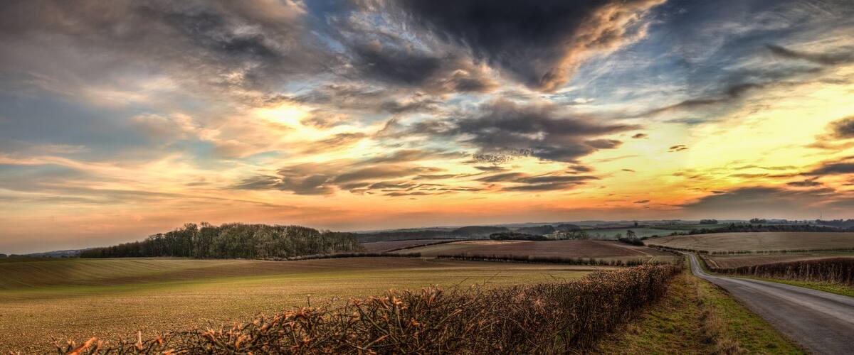 Panoramic Wolds