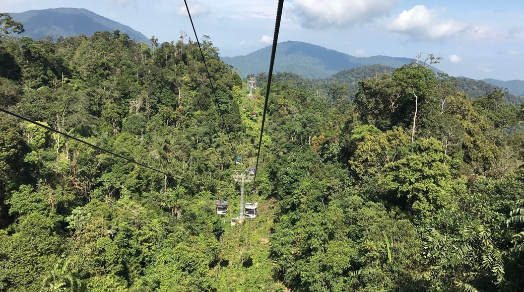 Colorful cable car trip