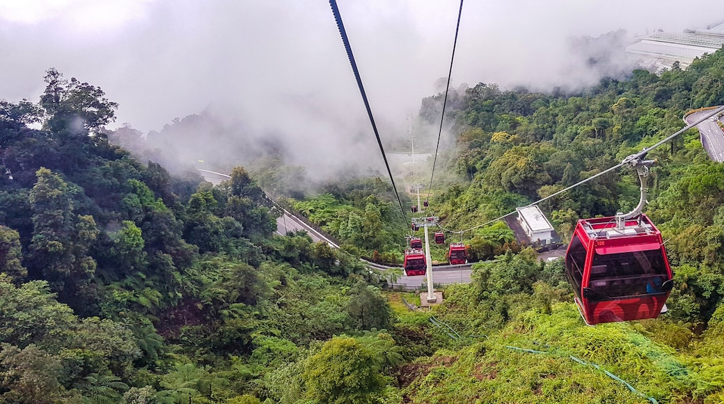 cable car at genting highlands, malaysia in a foggy weather with green grass visible from inside cable car