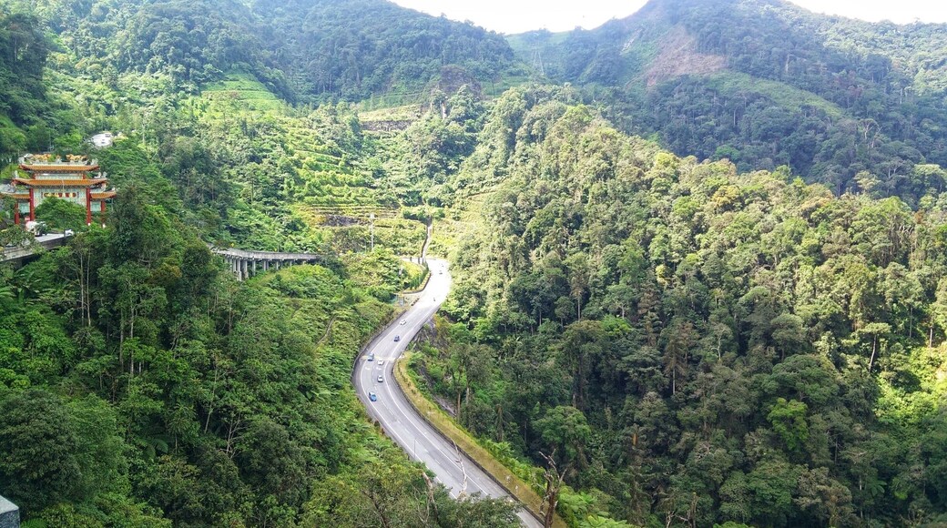 Away from city and enjoy monent in where cloud passes your eyes
#green #lifeatexpedia #cloud #highland