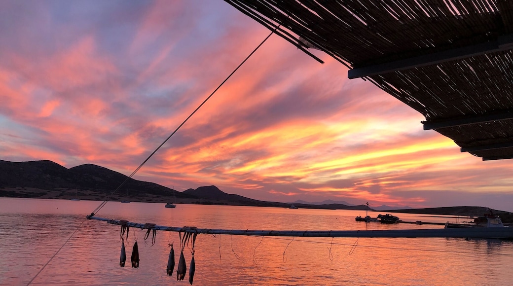 #Golden
Beautiful Greek Sunset at St. George, Antiparos, Greece