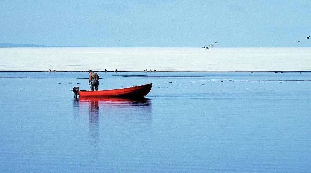 One cold morning in March on the ferry between Gränna and Visingsö