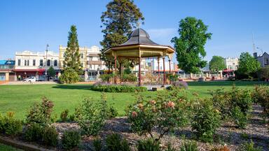 A gazebo in a park with a clear blue sky, surrounded by greenery and buildings in the background.
