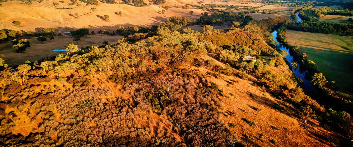 A valley with rolling hills, a river, and scattered trees.