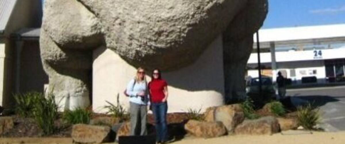 The Big Merino! At a servo on the way from Canberra to Sydney (after a quick detour into Goulburn)