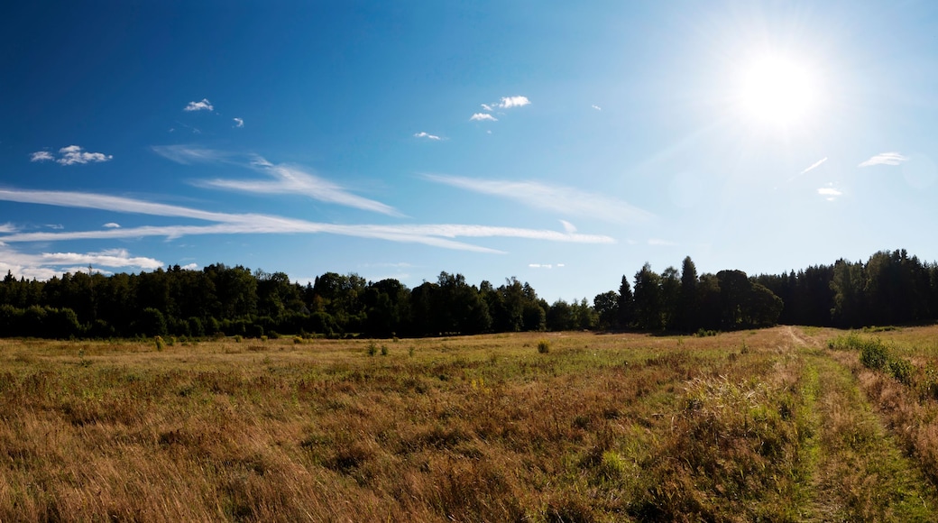 Un campo con cielo despejado y un bosque al fondo.