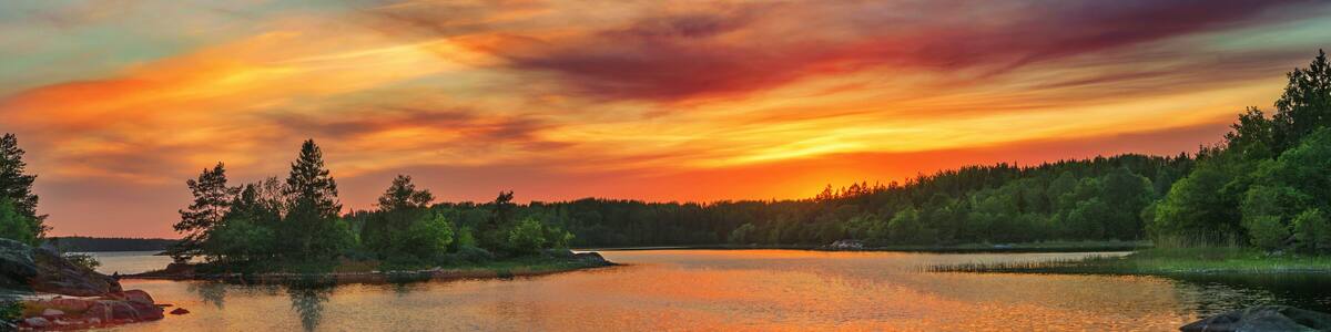 Vivid golden sunset in the archipelago of Scandinavia. Evergreen