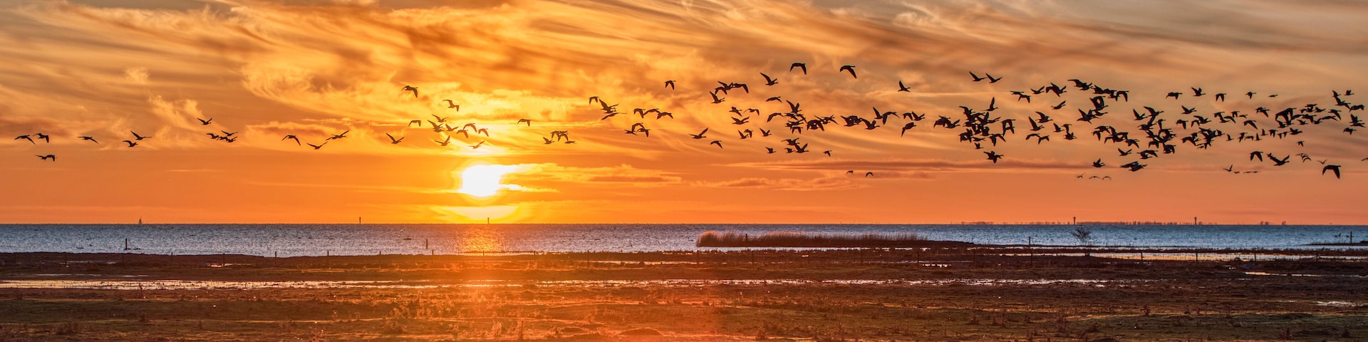 A sunset over a coastal landscape with birds flying across the sky.