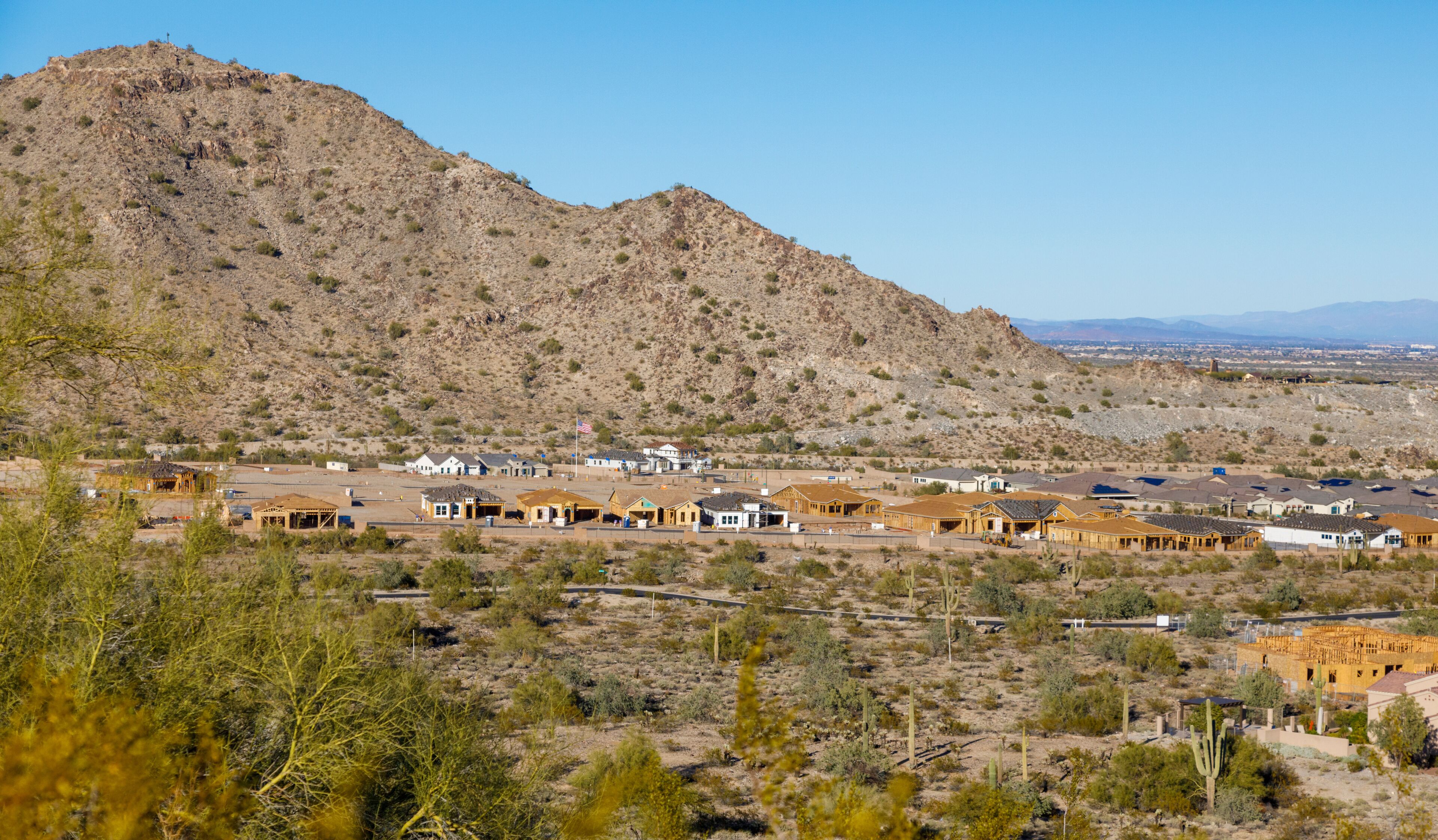 Festival de Sun City