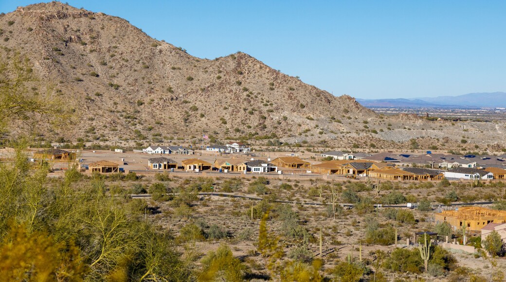 Festival de Sun City