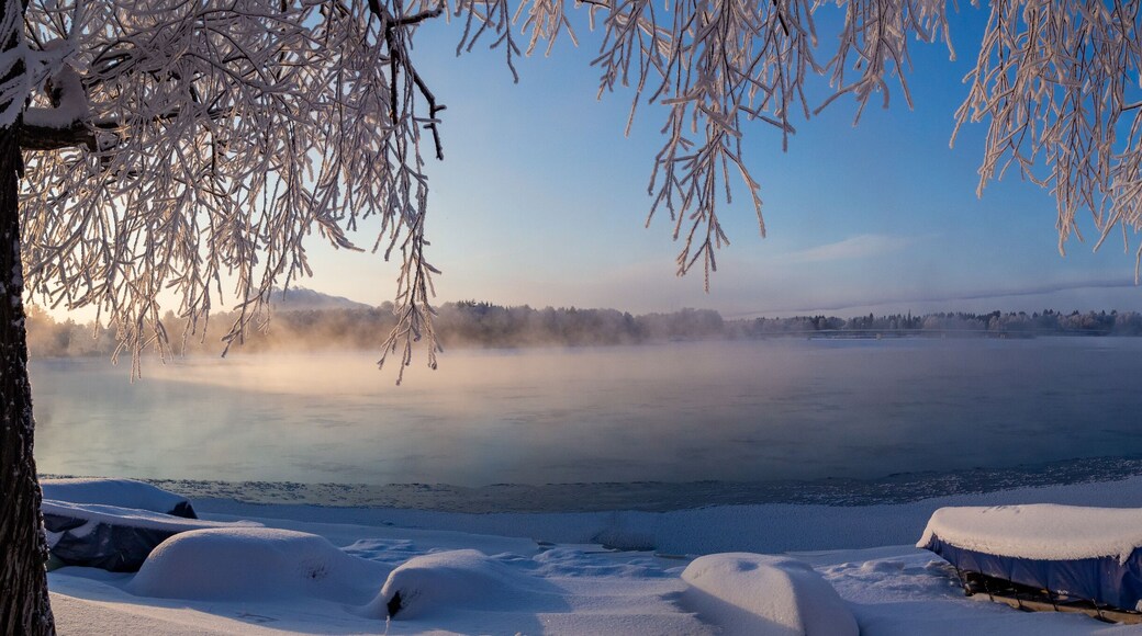 A frozen lake with snow-covered trees and a wooden dock.