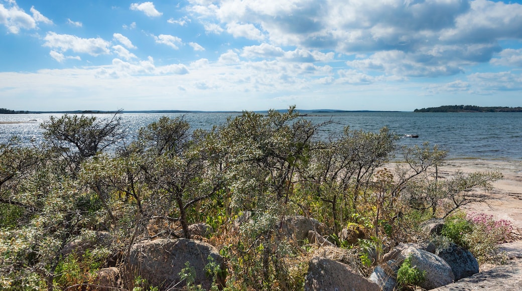 the coast of the sea in Ålands archipelago