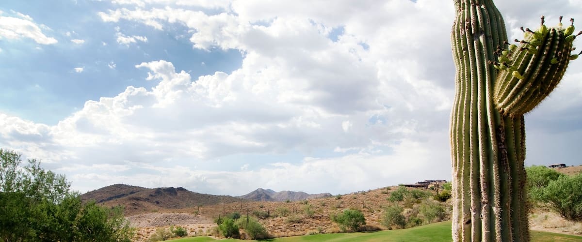AZ golf course