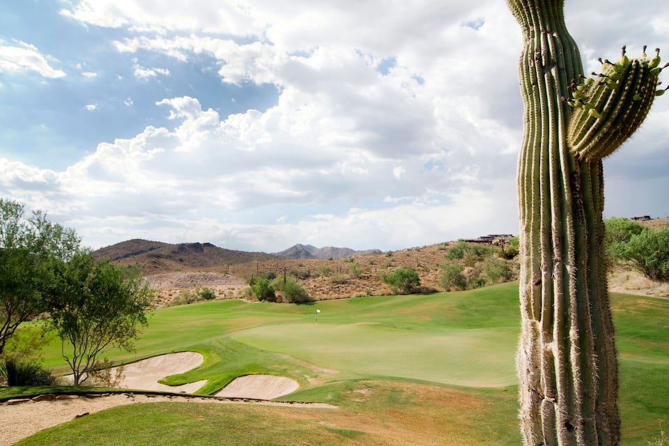 Camp de golf al desert, amb un cactus destacat al primer pla.