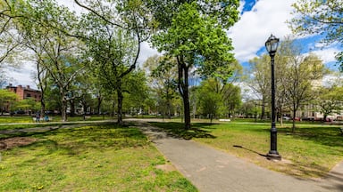 Um parque com calçada pavimentada, árvores e um lampião.