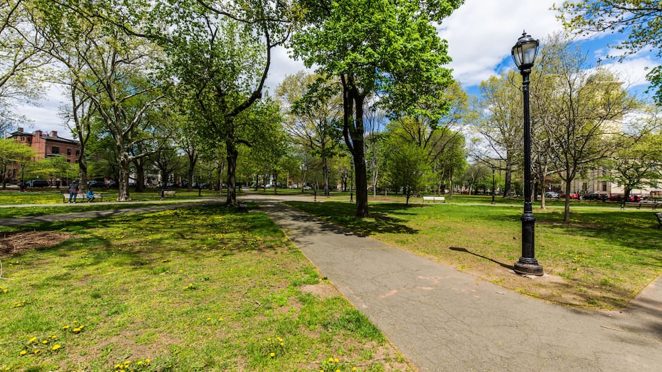 A park with a paved walkway, trees, and a street lamp.