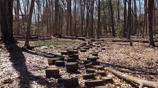 Nice Disc Golf Course!
#discgolf #outdoors #park