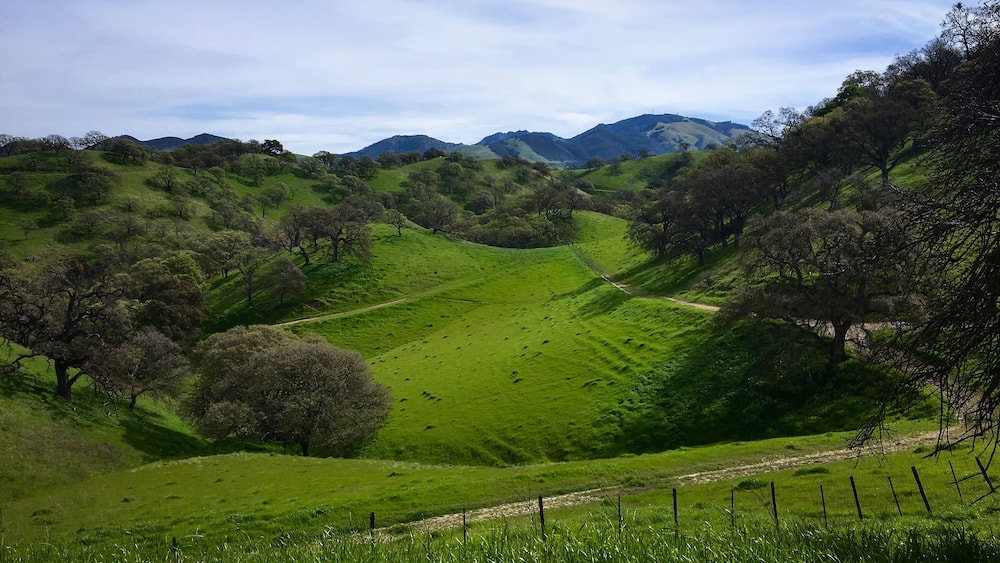 Shell Ridge Walnut Creek