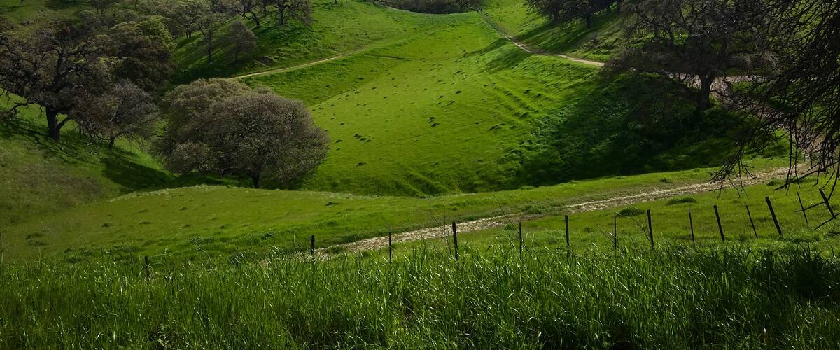 Shell Ridge Walnut Creek