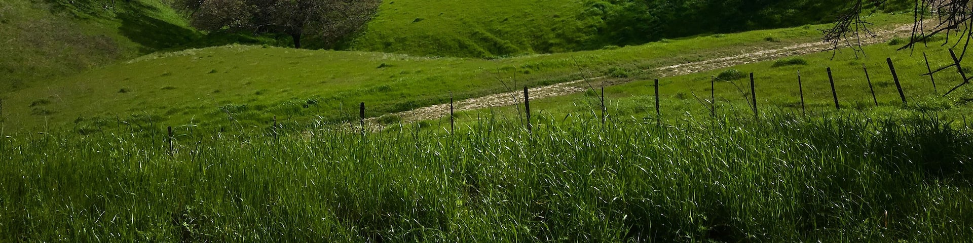 Shell Ridge Walnut Creek