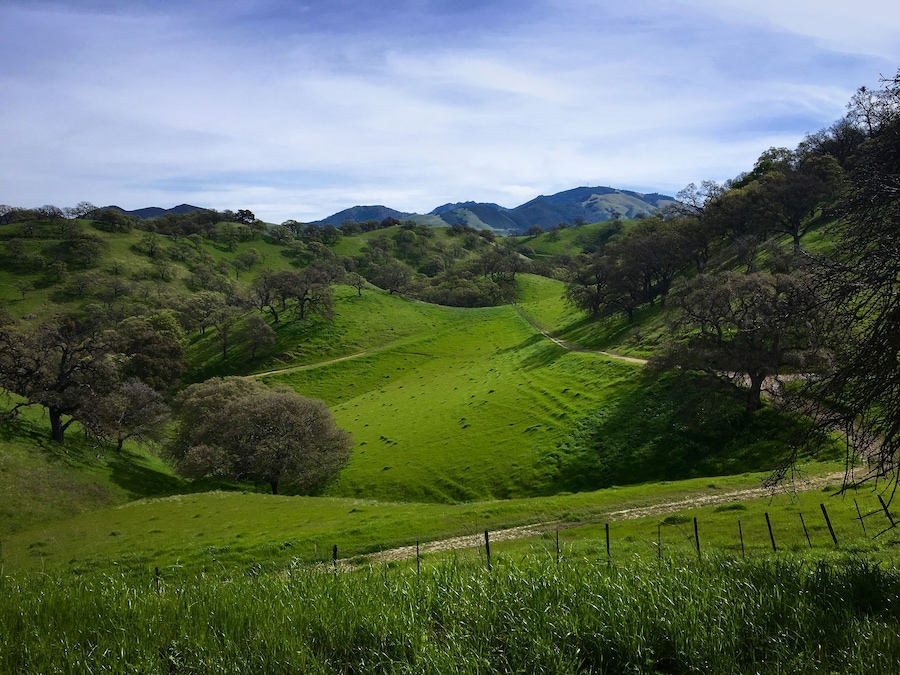 Shell Ridge Walnut Creek