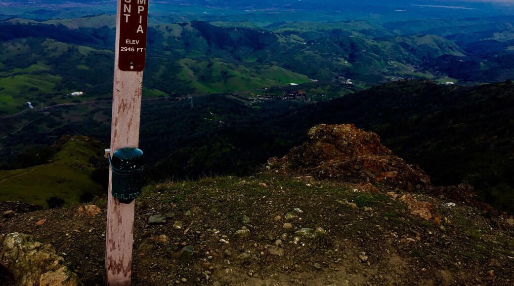 Description
A relatively short and very steep trail (nearly 30 degrees sustained gradient) to North Peak, an isolated high peak just 2 miles from the tourist-beaten main peak of Mount Diablo.