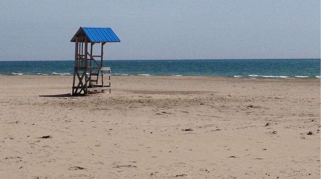 Exploring Coburge - what a great beach. Sailboats are starting to appear. Hard to look at a beach though when its freezing today.