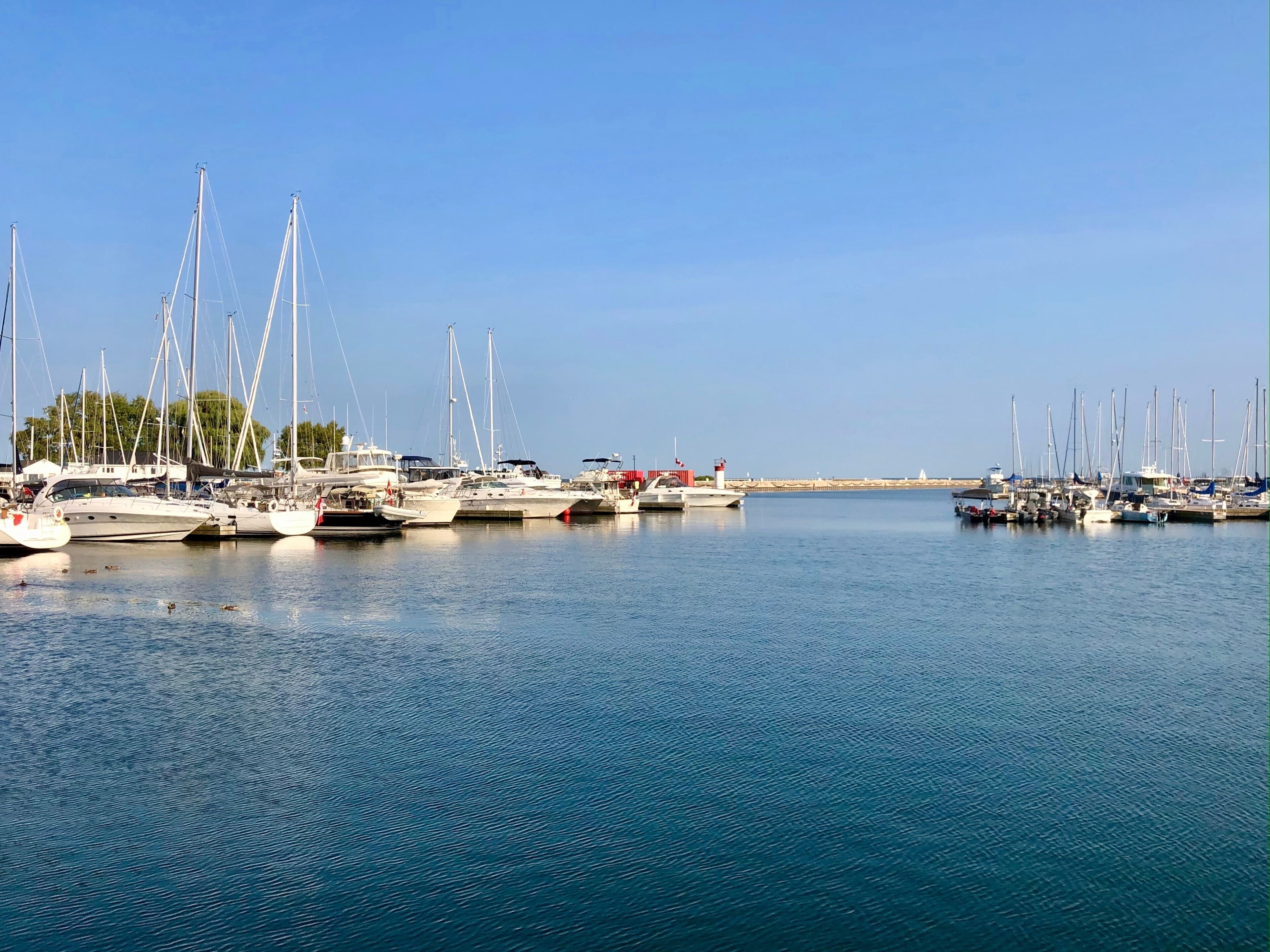 saiing boats in the harbor of cobourg ontario