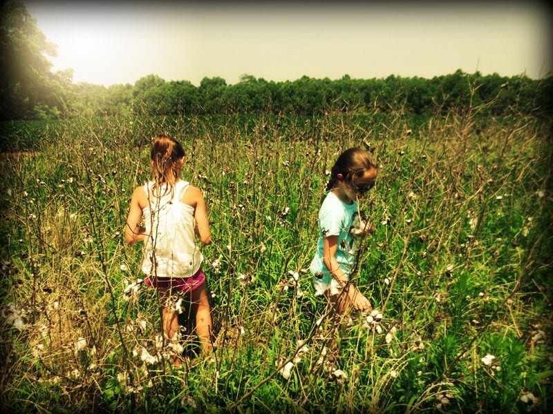 Picking cotton in a field at Tallahatchie Flats!!!  A very cool experience for some little Jersey girls!
