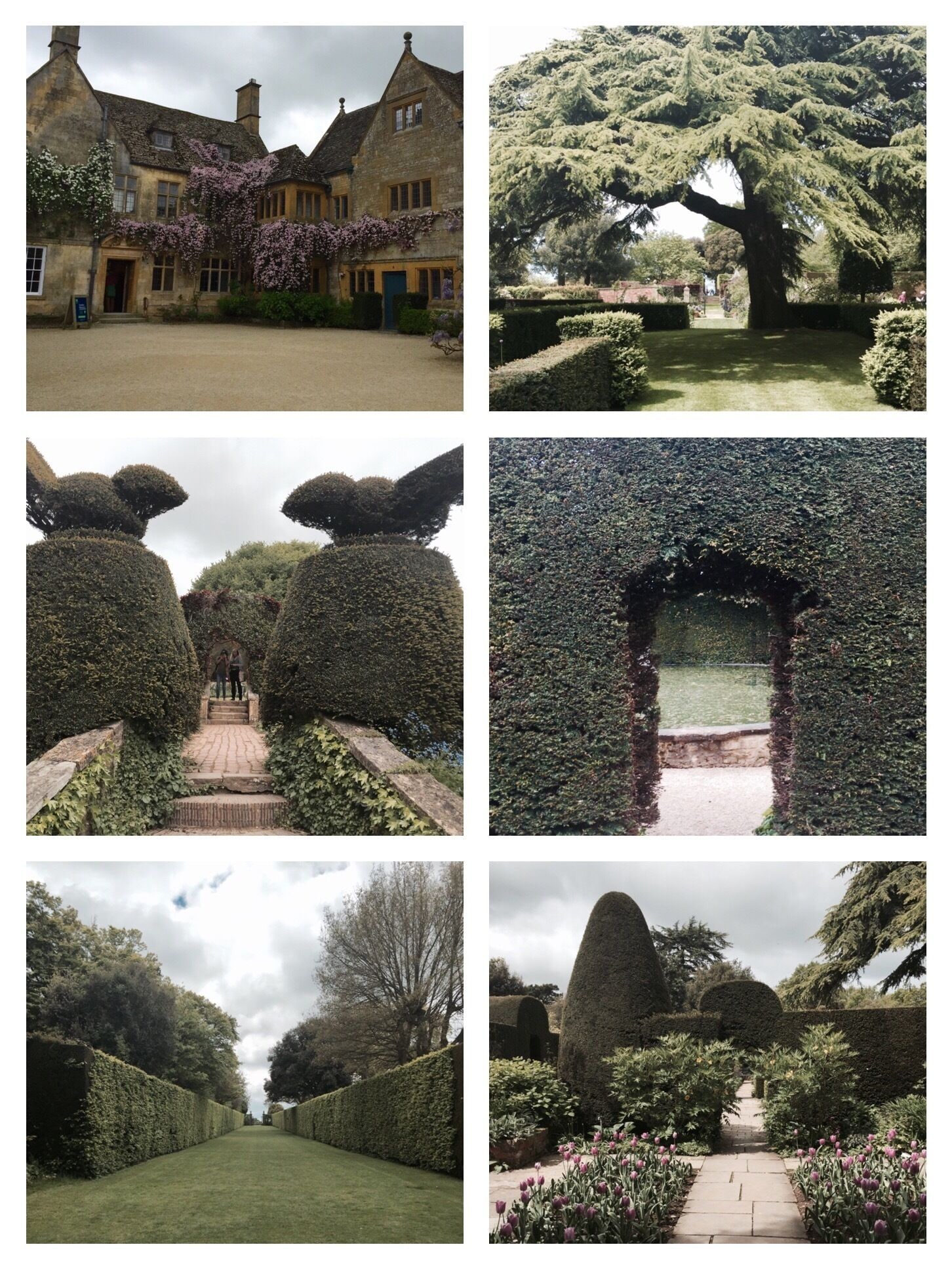 Gardens are breathtaking, so green and lush.  #gardens, #hidcote manor, #cotswolds
