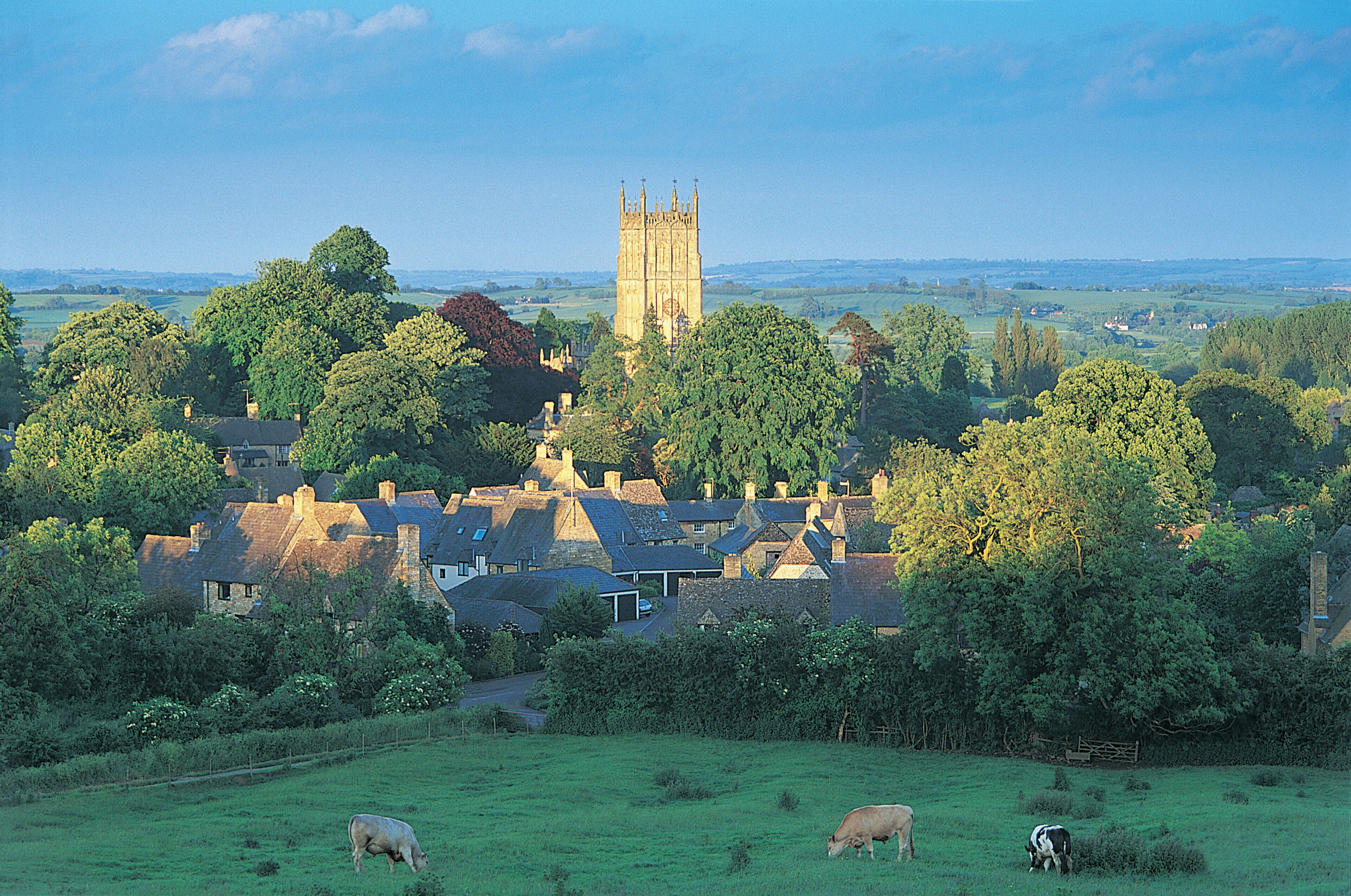 A rural landscape with a church tower, sheep grazing, and houses surrounded by trees.