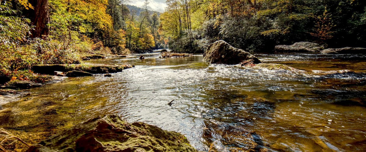 A beautiful mountain river in Western North Carolina, USA, in the fall with the fall colors.
