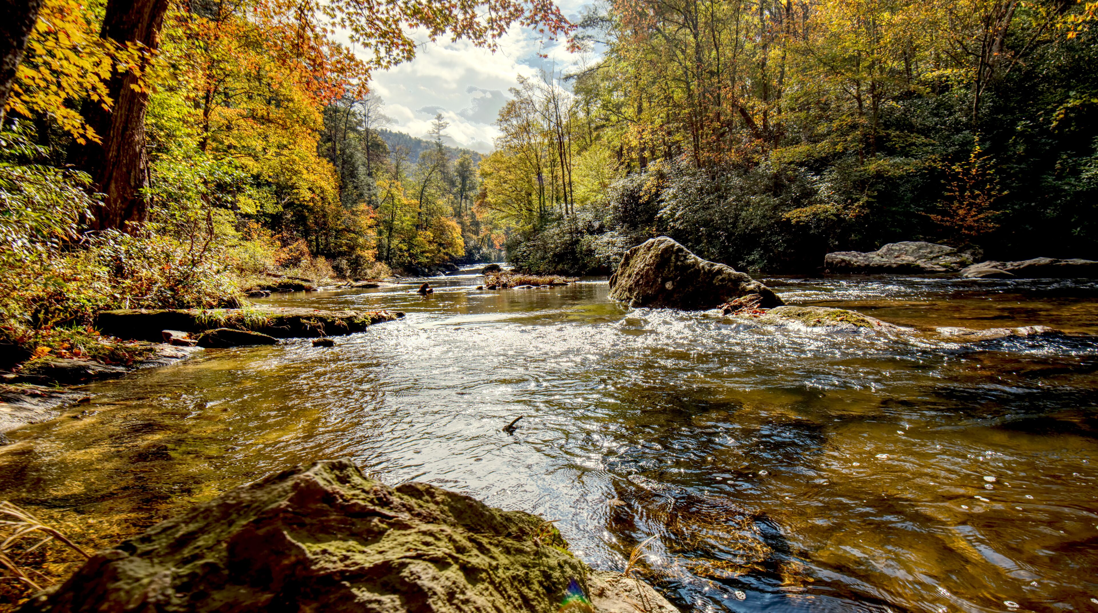 A clear river flowing through a forest with autumn foliage.