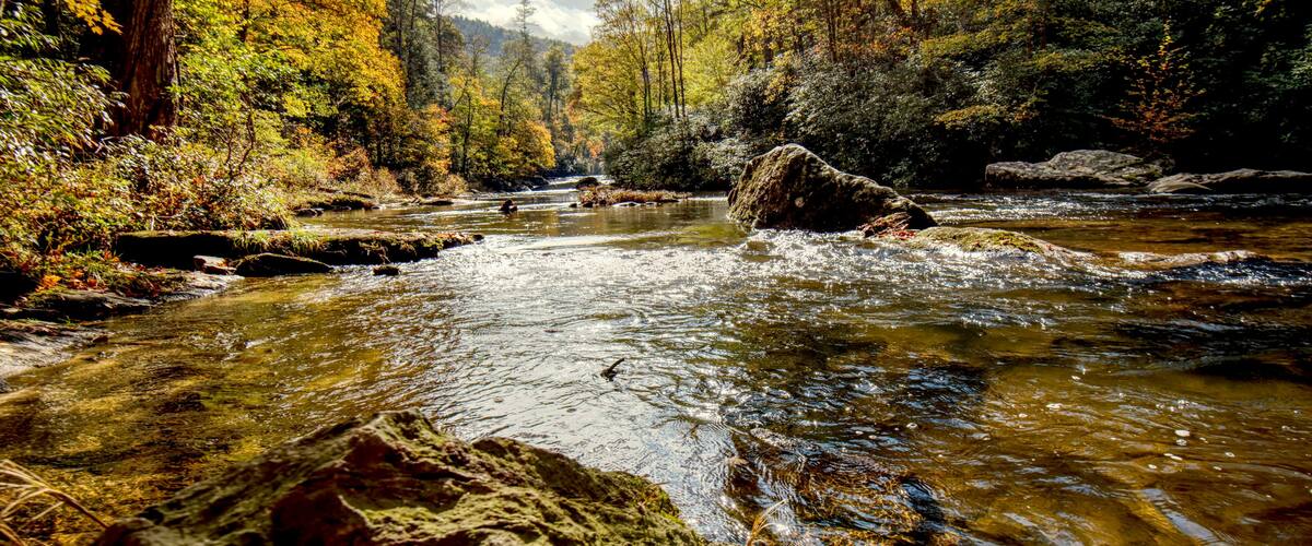 A clear river flowing through a forest with autumn foliage.