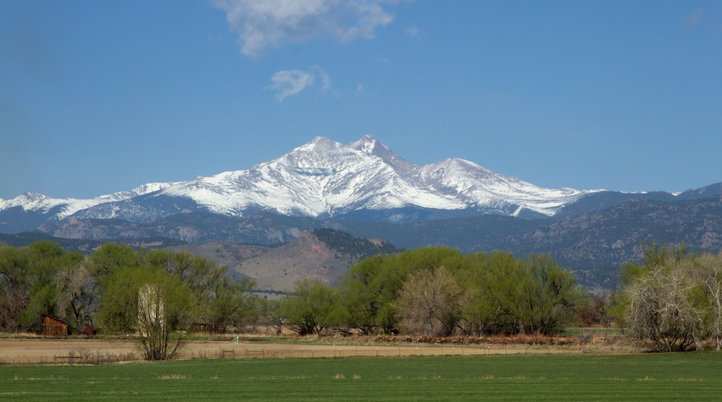 Snow capped Longs Peak and Mt Meeker on a spring or summer day
