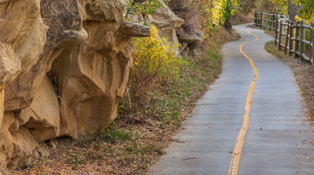 bike path along Poudre River