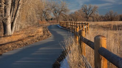 ๊ทธ๋ฆด๋ฆฌ