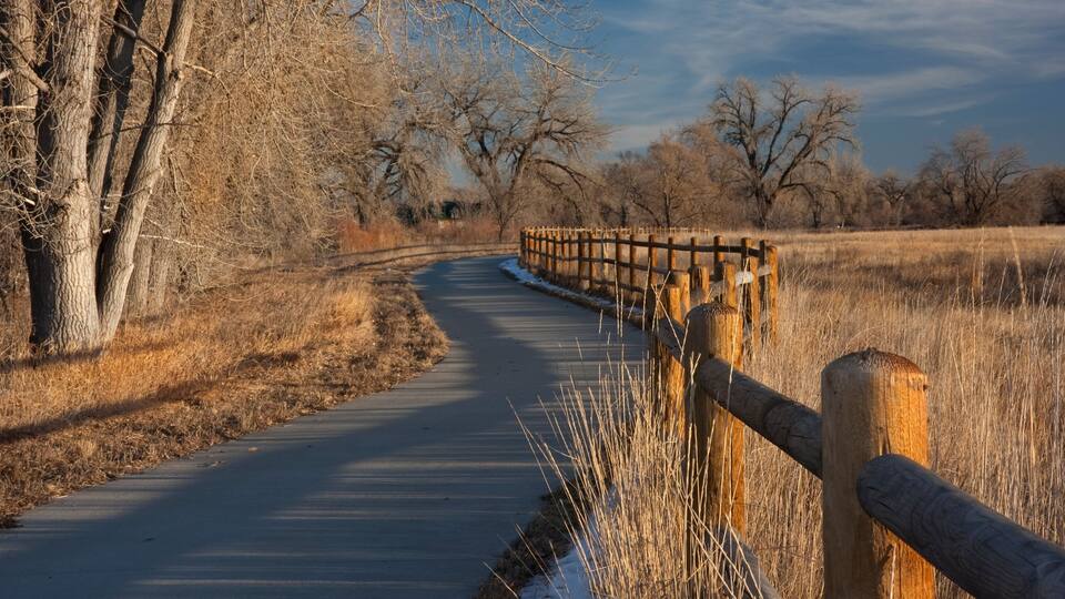 A paved path with a wooden fence on the right, surrounded by leafless trees and dry grass.