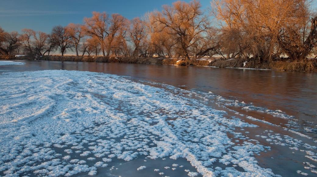 winter on South Platte River near Greeley, Colorado