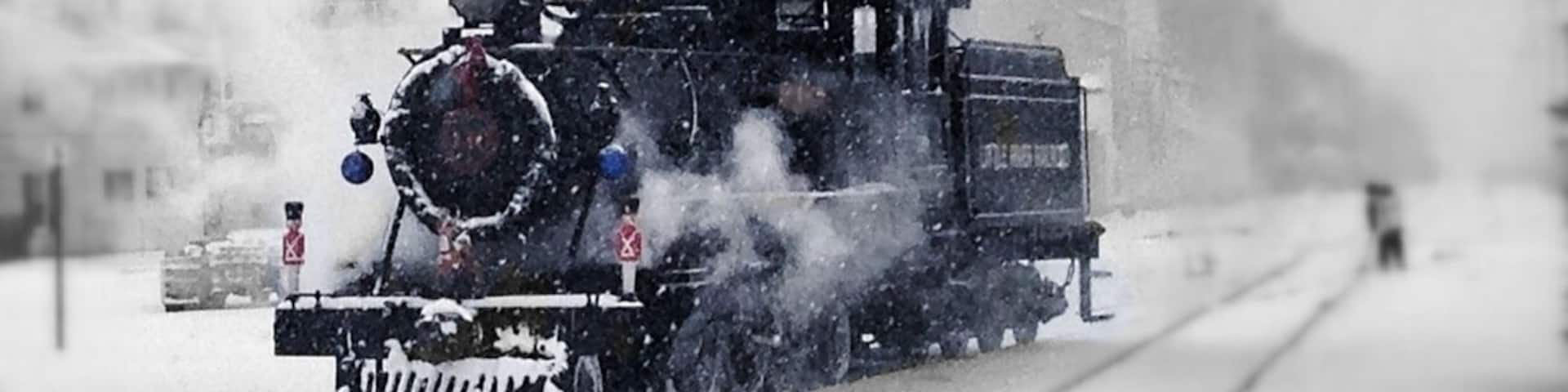 This is the Holiday Express at The Little River Railroad, in Coldwater MI. It has daily train rides as well as special occasion and holiday rides. They have a Christmas ride with Santa on board and a Halloween haunted ride that includes a pumpkin to name a couple.
The ride we took was complete with a visit to Mr. and Mrs. Clause, it was a lot of fun and the kids loved it! Check it out, it's pretty cool riding one of these old steam trains!
http://www.littleriverrailroad.com/
#Michigan #PureMichigan #Train #Railway #Railroad #Kidsfun #Steamengine