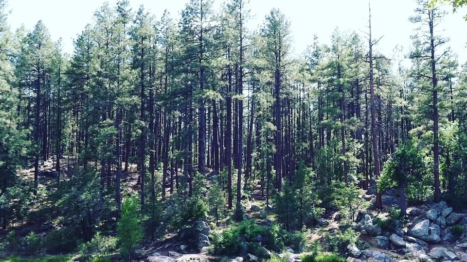 One of our favorites being at Gold water canyon in Prescott, Arizona you are tucked away really in a piece of paradise!