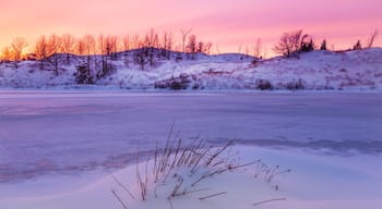 Very beautiful scenery here at Marquette Park.
Instagram: @Lawrencetellez