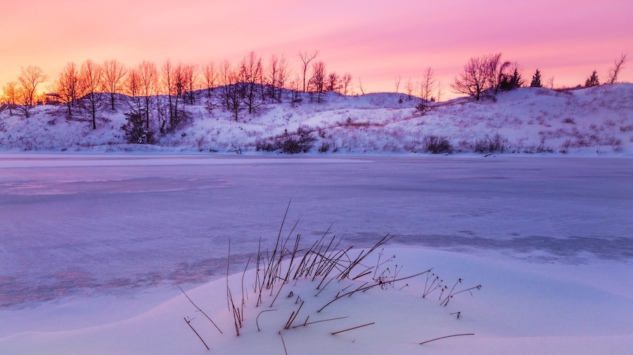 Very beautiful scenery here at Marquette Park.
Instagram: @Lawrencetellez