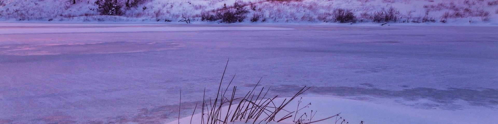 Very beautiful scenery here at Marquette Park. 
Instagram: @Lawrencetellez