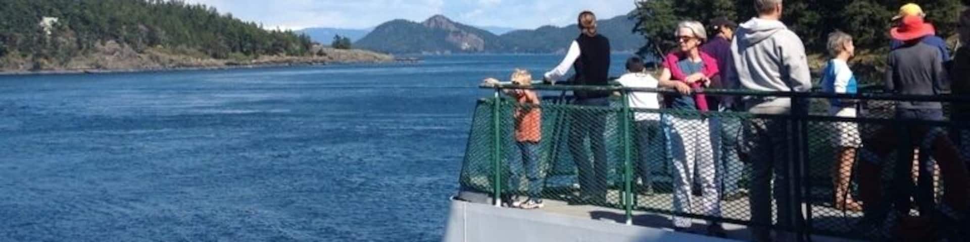The ferry from Anacortes to Orcas is way more fun when you are a walk during the very hectic summer months. It has been made even better now that the Washington State Ferries will allow dogs up on the weather deck. Lots of opportunities for good sniffs, Basset adoration and dropped popcorn scavenging. This view is from the fantail on a sailing that took us on an alternative routing they practice for rough weather crossings.