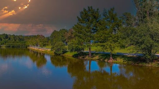 A calm river surrounded by dense trees and a cloudy sky.